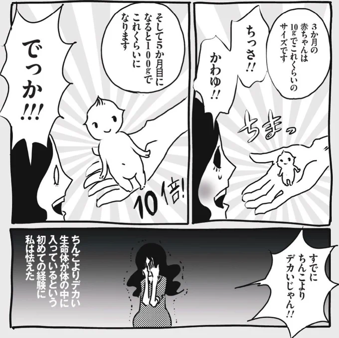 育児漫画「チャラいヒゲ、子を育てる』最新話公開! 初めての母親学級、初めての胎動、そして五ヶ月目の胎児のサイズ感にすでに怯える私!!! https://t.co/mHoVtnnIqZ 