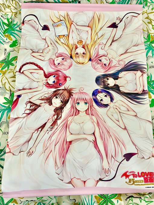 ToLOVEるタペストリー
やっと届いたーー!
マジ可愛い❤️ 