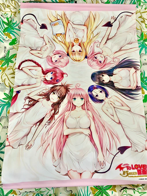 ToLOVEるタペストリー
やっと届いたーー!
マジ可愛い❤️ 