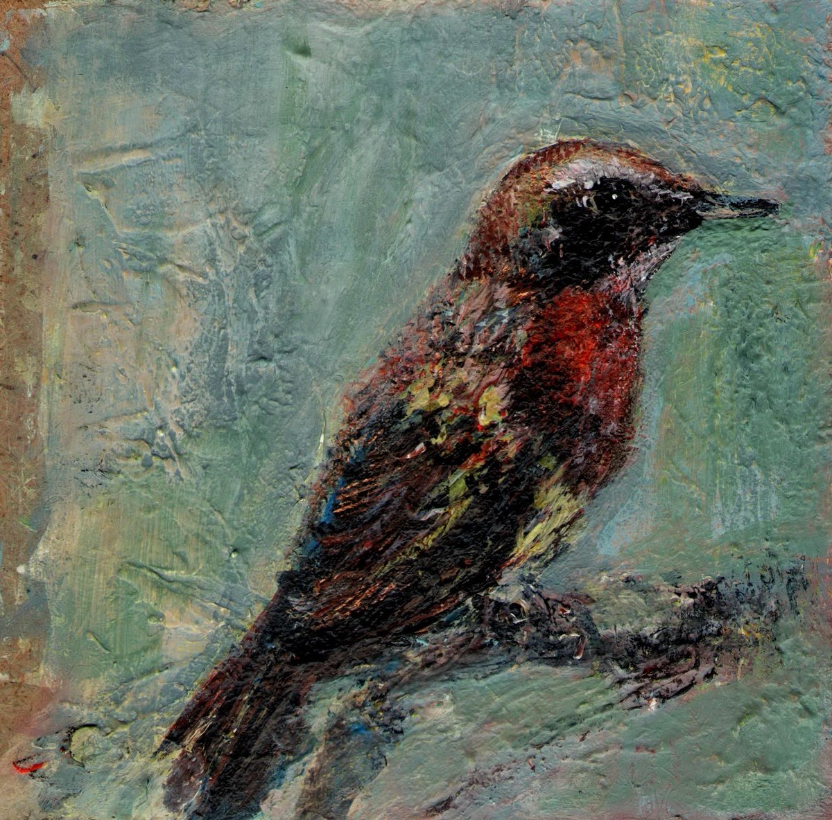 Clay Franklin Johnson tweet media