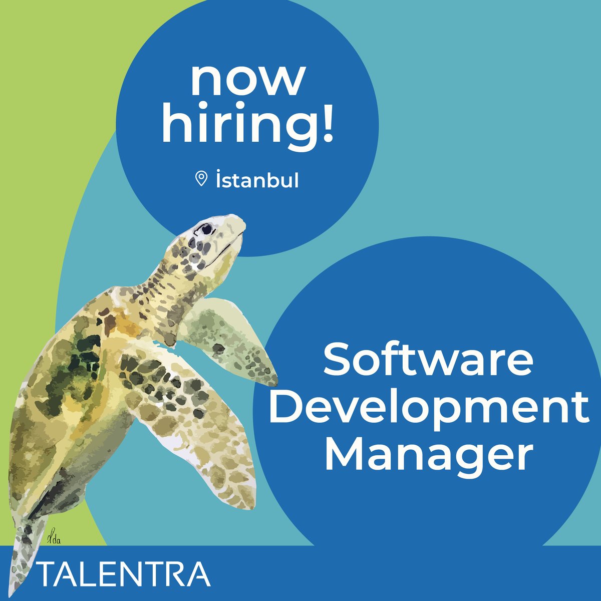 Talentra's tweet image. Our client is an analytics company, creating predictive intelligence from vast volumes of data.
We are looking for a Software Development Manager who will be managing The Software Development Team.
To Apply:
talentra.zohorecruit.com/jobs/Careers/2…
#softwaredevelopmentmanager #nowhiring