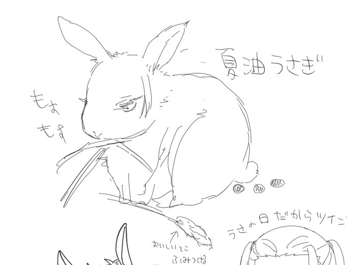 ⚠️ケモ化

うさぎの日の雑すぎるらくがき 