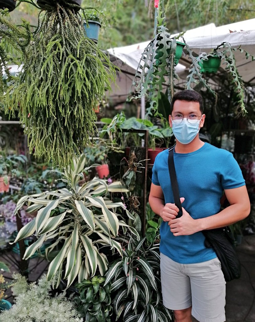 Ttttttttkkkrrrv's tweet photo. My kind of therapy... Good afternoon!
#dextersgarden #plantitosplantitas #crazyplantguy https://t.co/It9FXFBkwa