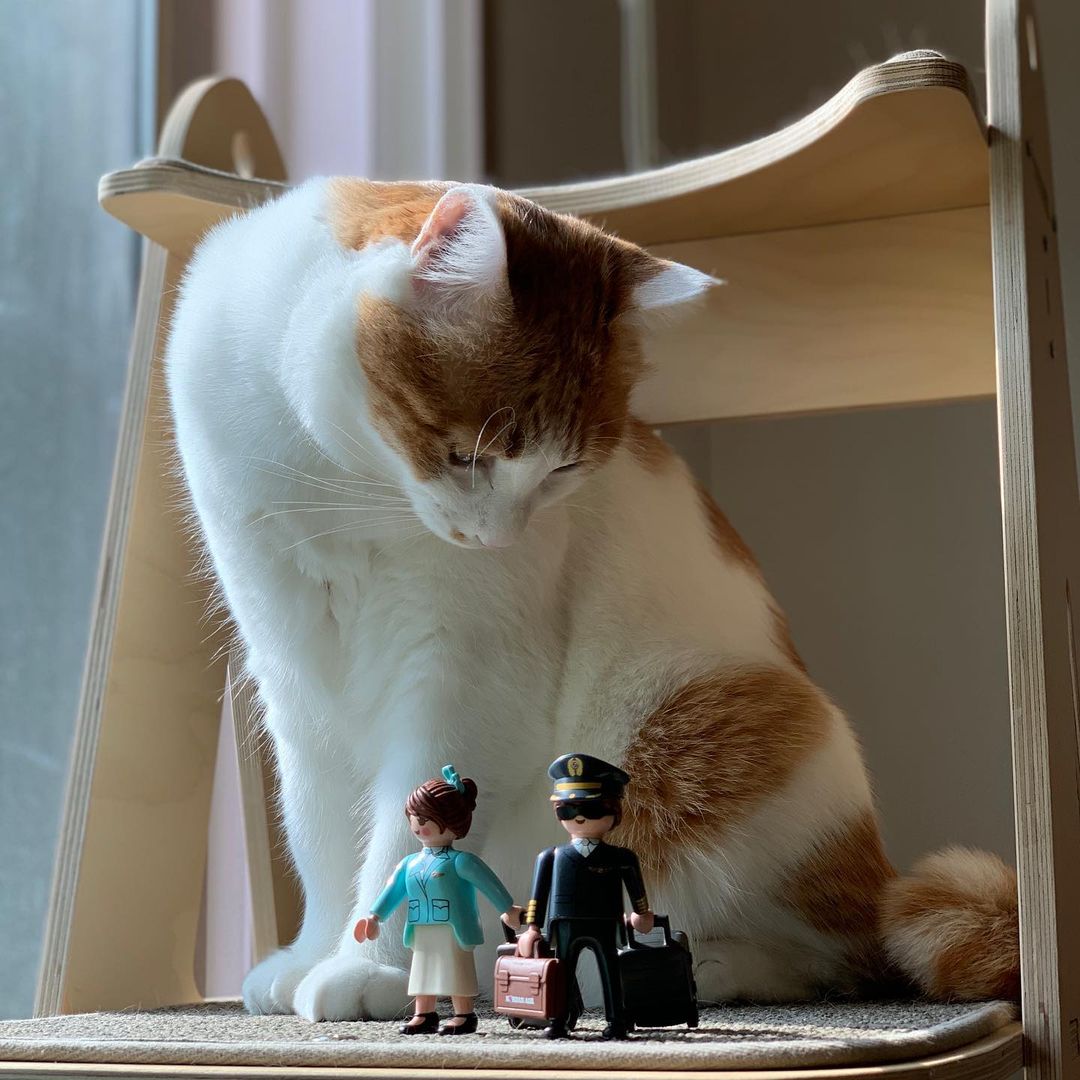 大韓航空 Korean Air プレイモービル playmobil 全種セット 先払いのみ）韓国グッズ [Korean Air X Playmobil] 大韓航空