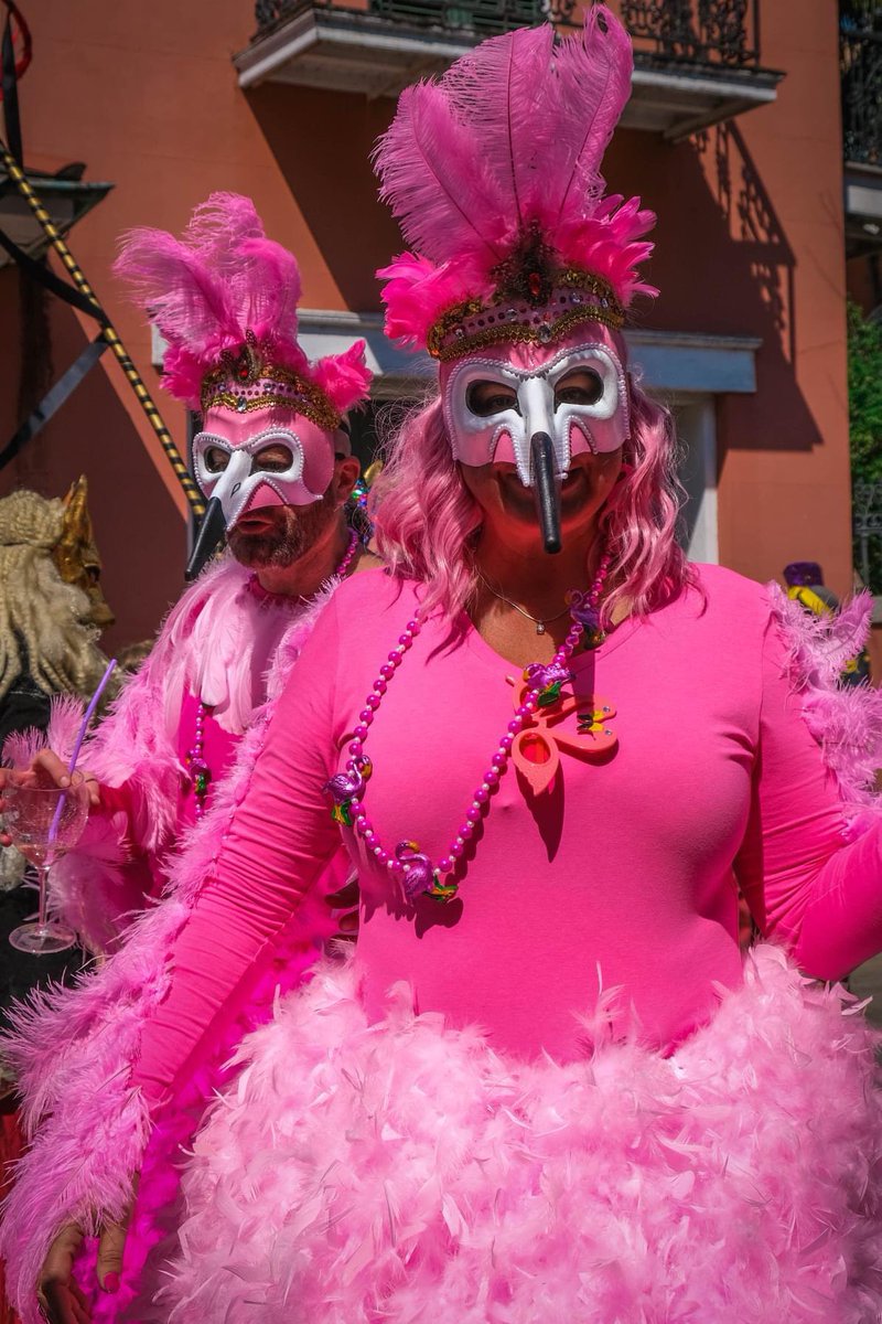magicvagabonds's tweet photo. There was just so much to photograph! Here’s some more. Photography is mine.  #neworleans #nola #MardiGras #MardiGras2022 #ArtistOnTwitter #photography #photooftheday #travelphotography https://t.co/3rKGfE99oi