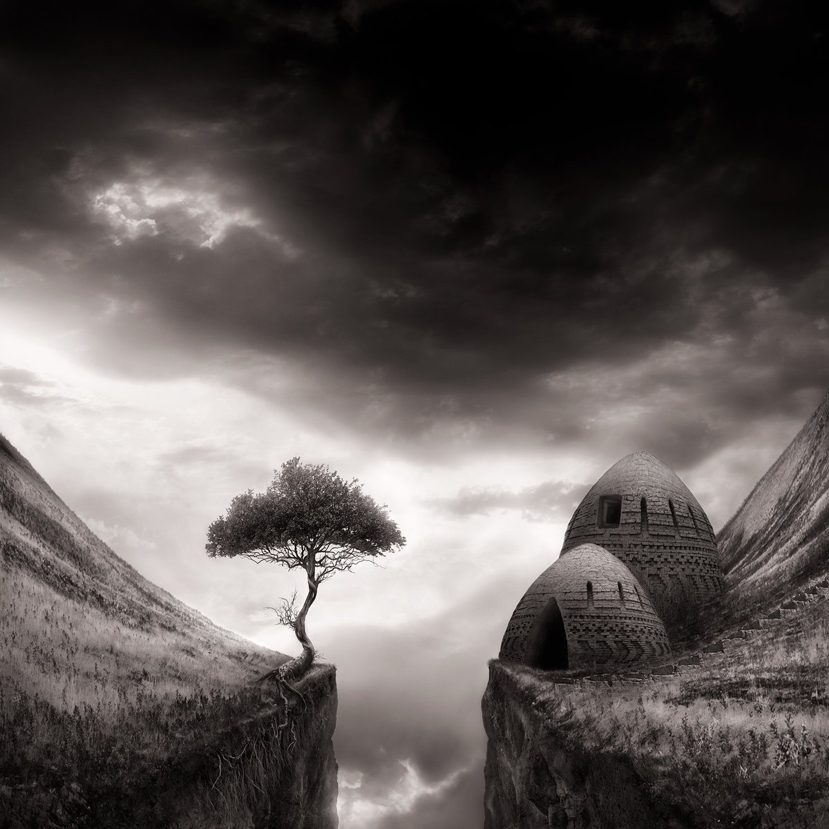 Sherry Akrami tweet media