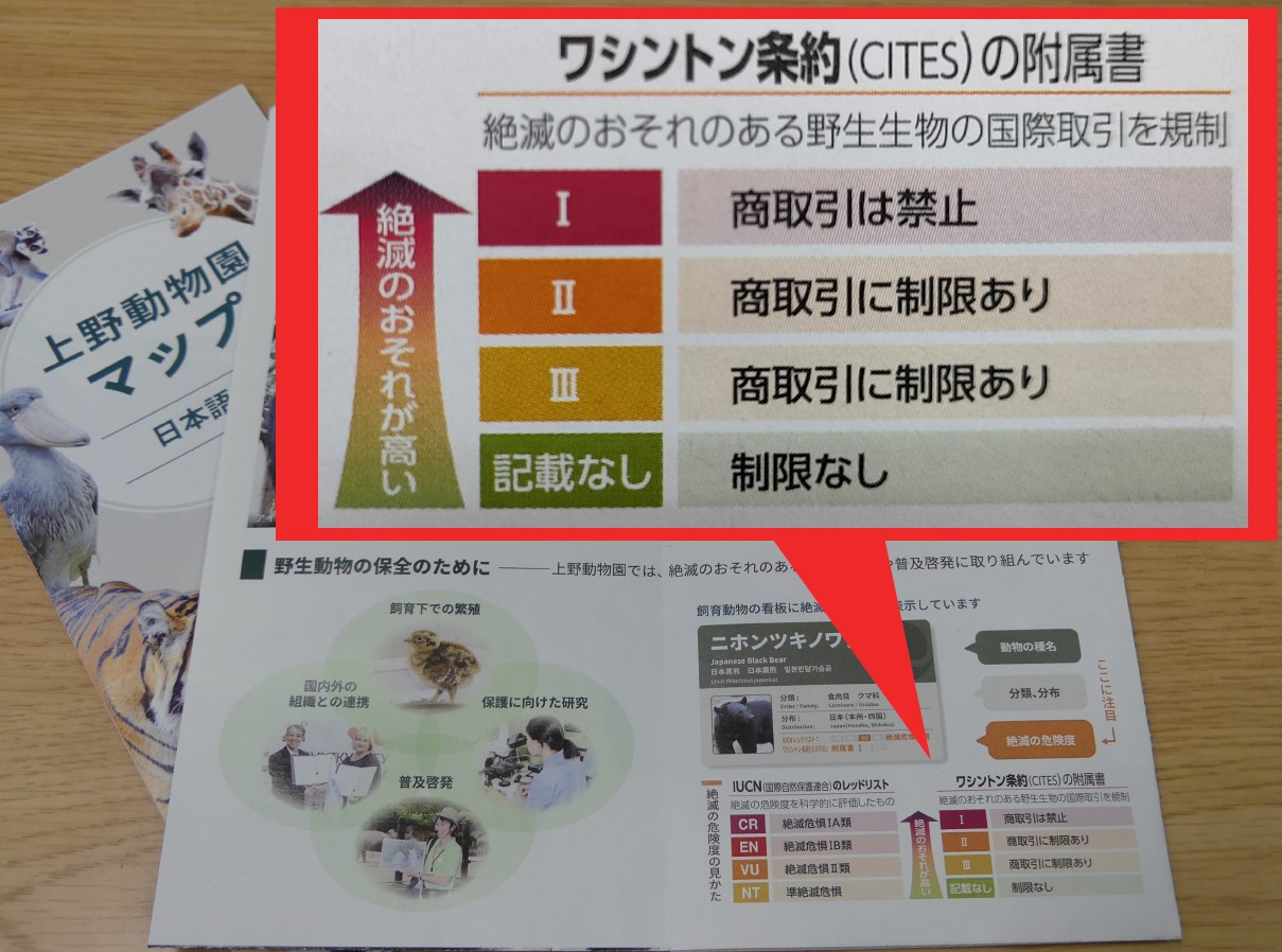 上野動物園［公式］ on X: 