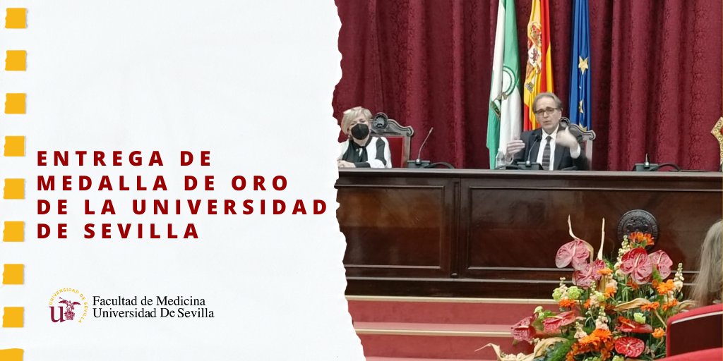 Medicina_US's tweet photo. El ministro de @UniversidadGob, @subirats9, también asistió ayer al acto de entrega de la Medalla de Oro de 
@unisevilla, donde intervino ante el Consejo de Gobierno. https://t.co/Hn2P6sDs03