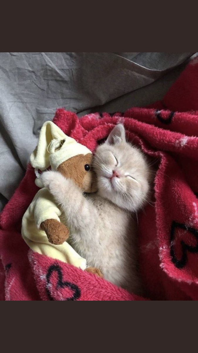 EGE (@emrahegee35) on Twitter photo 