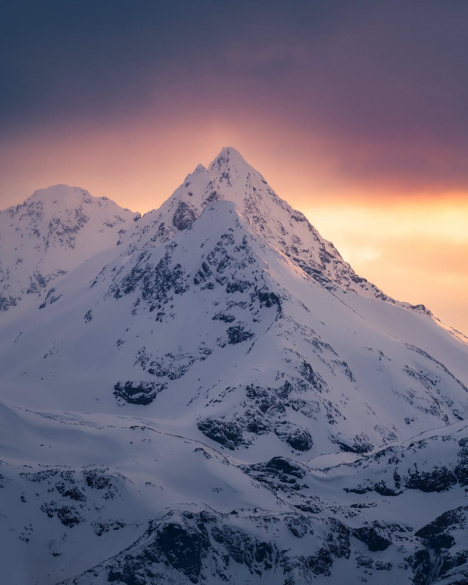 My Homecoming collection expired and is no longer available for sale. I chose not to renew it. 
Huge thanks to <a href="/sloikaxyz/">Sloika.xyz</a> and <a href="/pamvoth/">Pam Voth</a> for being more authentic than I’ve ever seen in the NFT space in my time here 🙏🏻