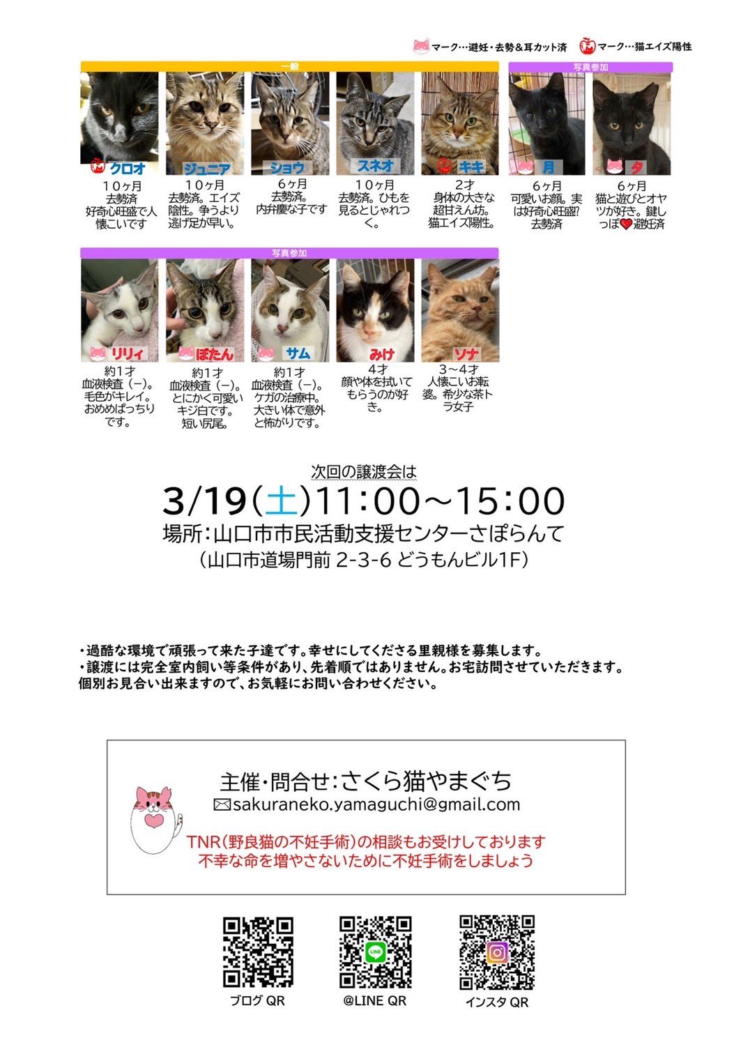 しらきなくる 22年3月5日山口市さぽらんて 保護猫の譲渡会があります たくさんの猫が集まります 会いに来てください 保護猫 譲渡会 猫 猫がいる暮らし 保護猫を家族に T Co Ykajlwhm7q Twitter