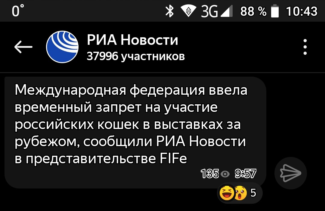 Даже незнаю, как эту новость сообщить своему коту