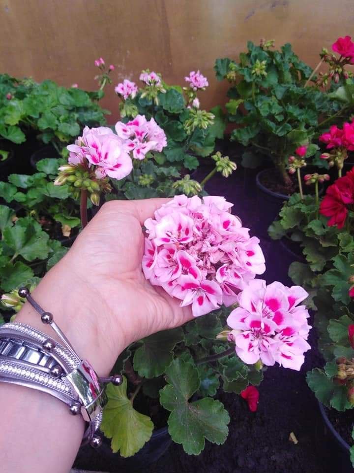 Prošle godine nije bilo ni najmanje dosadno.