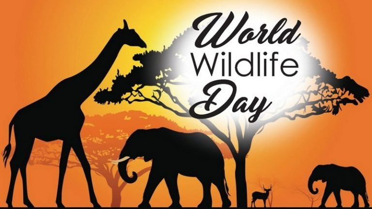 #World_Wildlife_Day_2K22 
Theme : Recovering Key Species For Ecosystem Restoration.
.
Let us pledge to protect &amp; conserve the wildlife homes !!
#WorldWildlifeDay