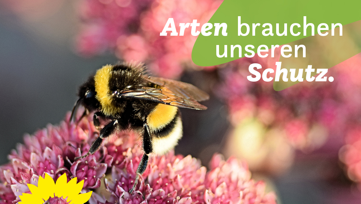 Auf dem Bild ist eine Hummel zu sehen, die auf einer pinken Blume sitzt. In der rechten oberen Ecke steht auf zwei stilisierten Blütenblättern: Arten brauchen unseren Schutz. 