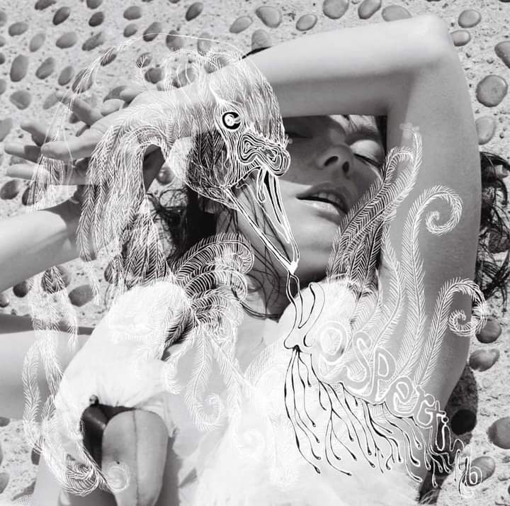 sugarty9's tweet photo. @spotify_lyricx https://t.co/OzSmtwnE3j