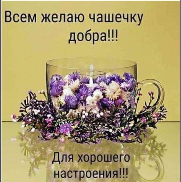 Доброе утро !