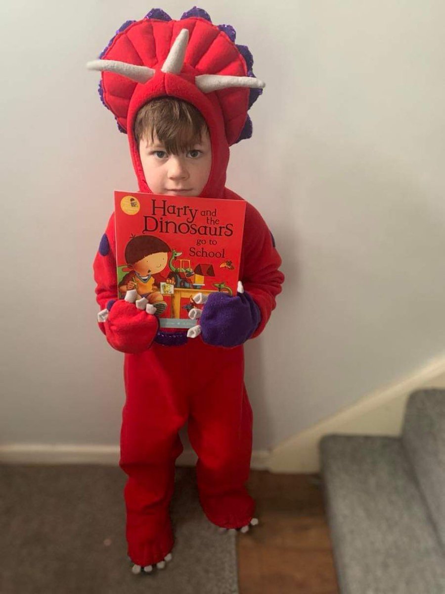Ethan on world book day in the dinosaur costume I made him. I just asked my tyg if I made two left hand gloves and she said ‘Yep’. She didn’t like to tell me.