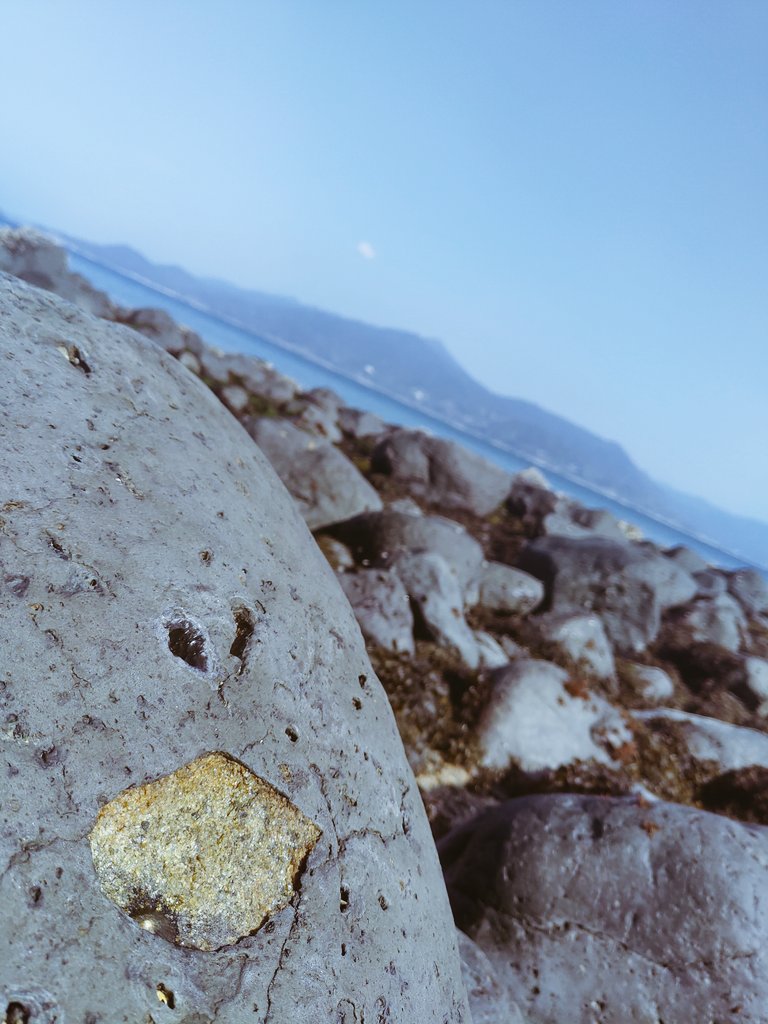 伊都島を 臨みて浮かぶ 瀬の石の
深き緑ぞ いとあはれなり