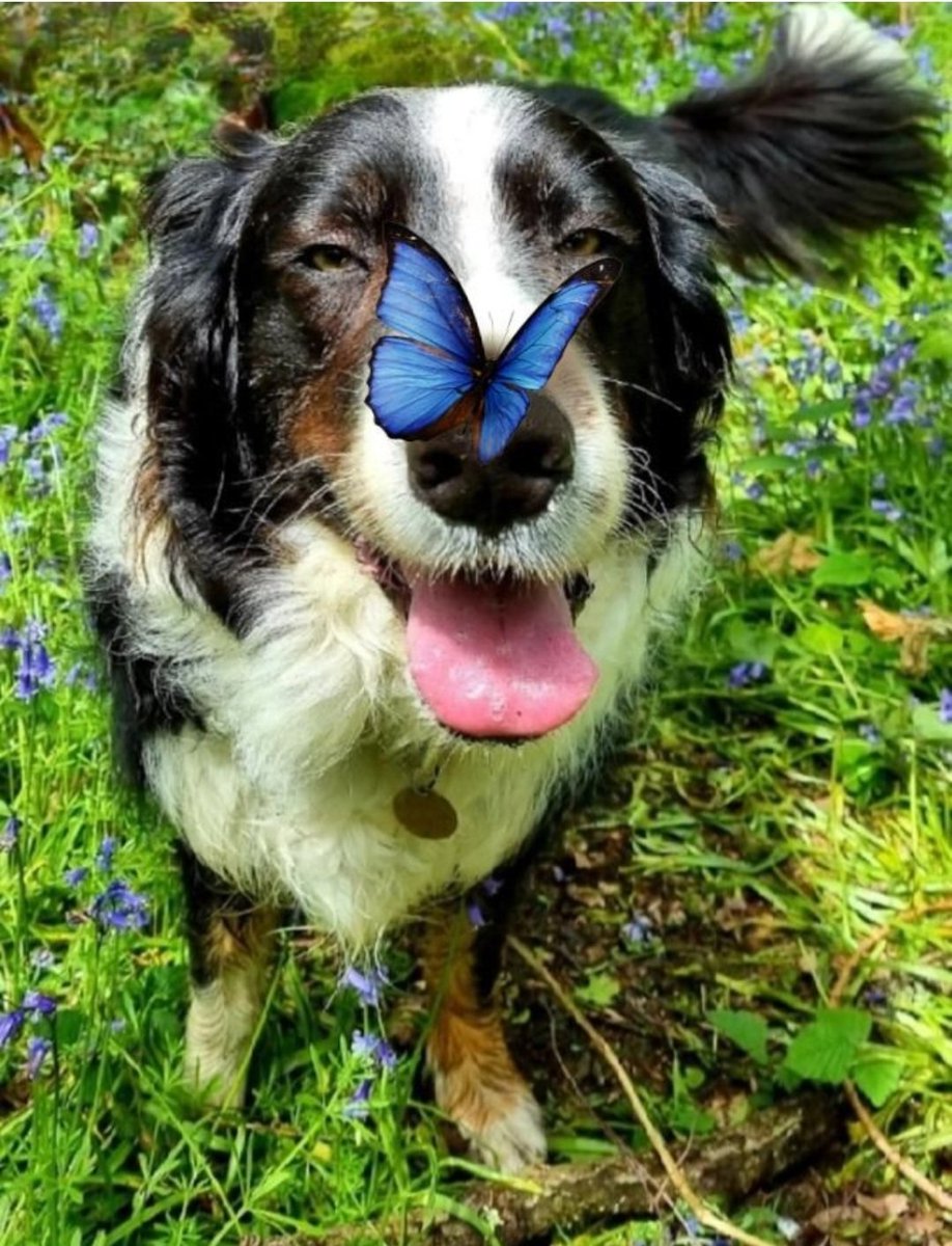 Finley Allen tweet media