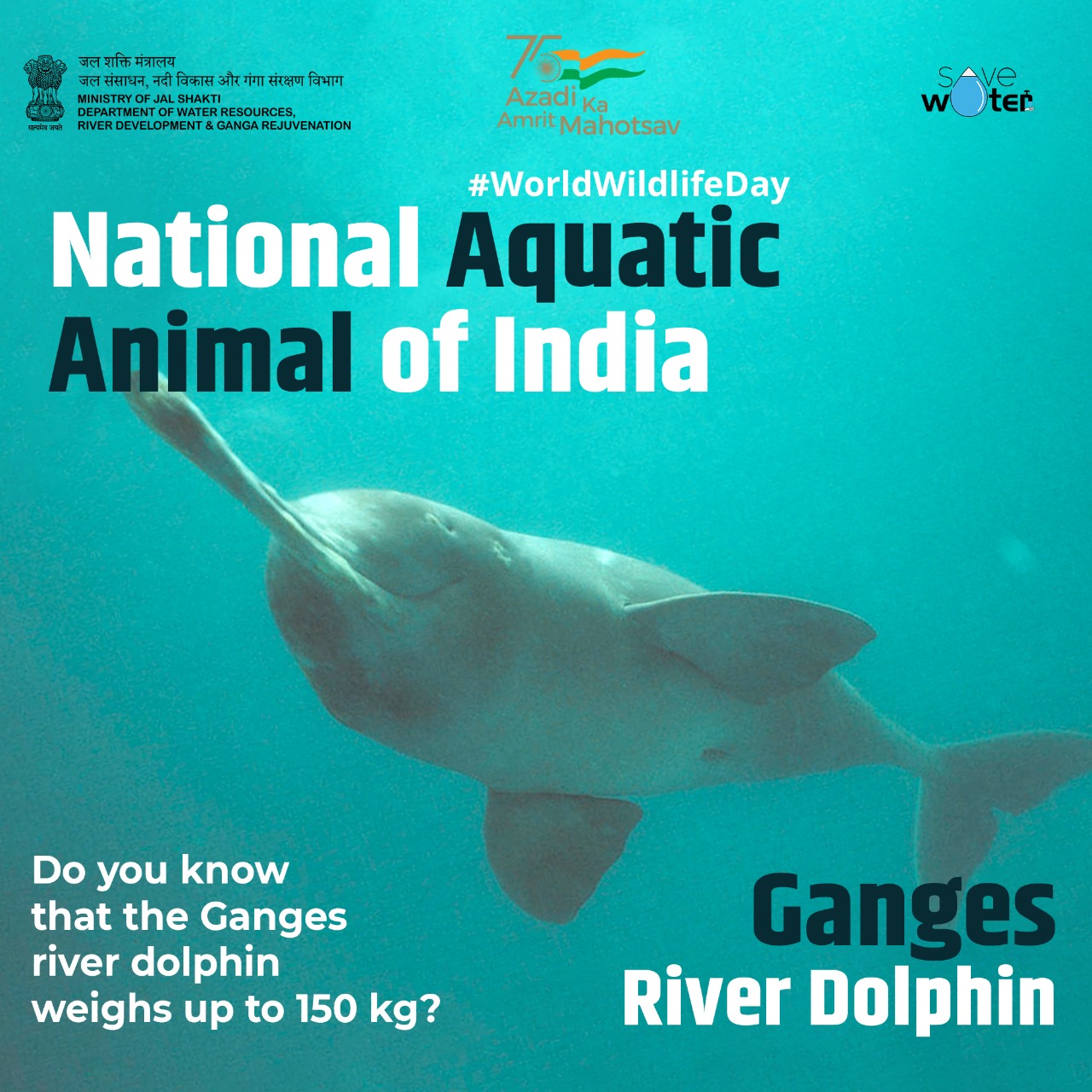 Ministry of Jal Shakti 🇮🇳 #AmritMahotsav auf Twitter: „It was in 2009 that the govt. of India declared the Ganges River Dolphin as the National Aquatic Animal of India. Do you know Ministry of Jal Shakti 🇮🇳 #AmritMahotsav auf Twitter: „It was in 2009 that the govt. of India declared the Ganges River Dolphin as the National Aquatic Animal of India. Do you know