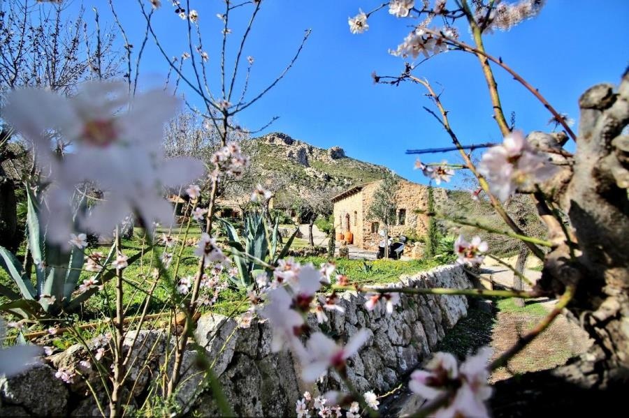 expertvillas's tweet photo. 200-year-old house for sale in Andratx, Mallorca.
https://t.co/Aa5G05b78w

#stone #stonehouse #beautifulhomes #amazinghomes #luxuryhomes #renovation #interiordesign #luxurydesign #homedesign #rustichouse #rusticdesign #mallorca #spain #ibiza #menorca #formentera #mediterranean https://t.co/fAE1N57L2a