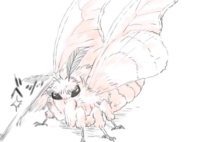 眼鏡を乗せたのはぐだ 