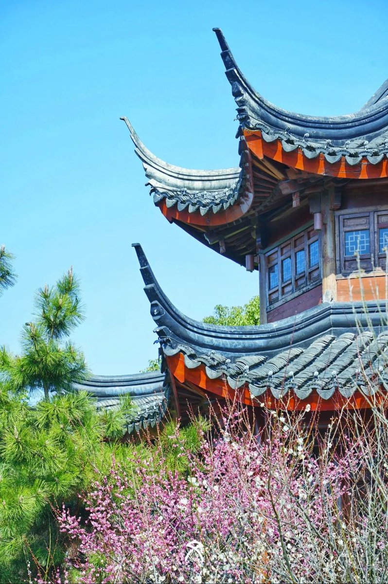 SND_China's tweet photo. ๐ฟ๐ฟIt's time to head out and take in all the bright-colored plum blossoms now in heady full bloom๐ธ๐ธ, as #spring has well and truly landed in #Suzhou! Check out these awesome photos ๐ธ from two parks in Suzhou New District (#SND)! #SpringInSuzhou https://t.co/fBltvqADrn