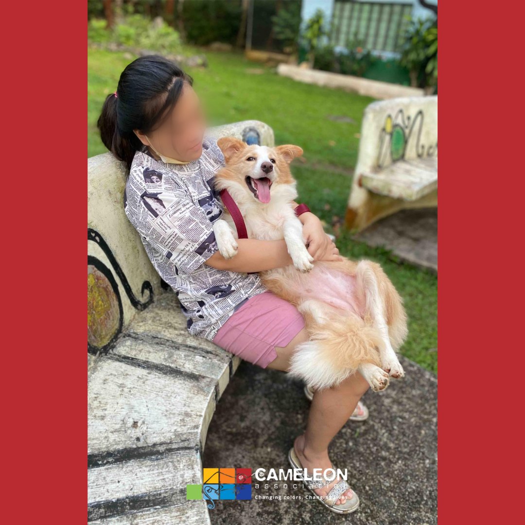 CAMELEON Association Philippines tweet media