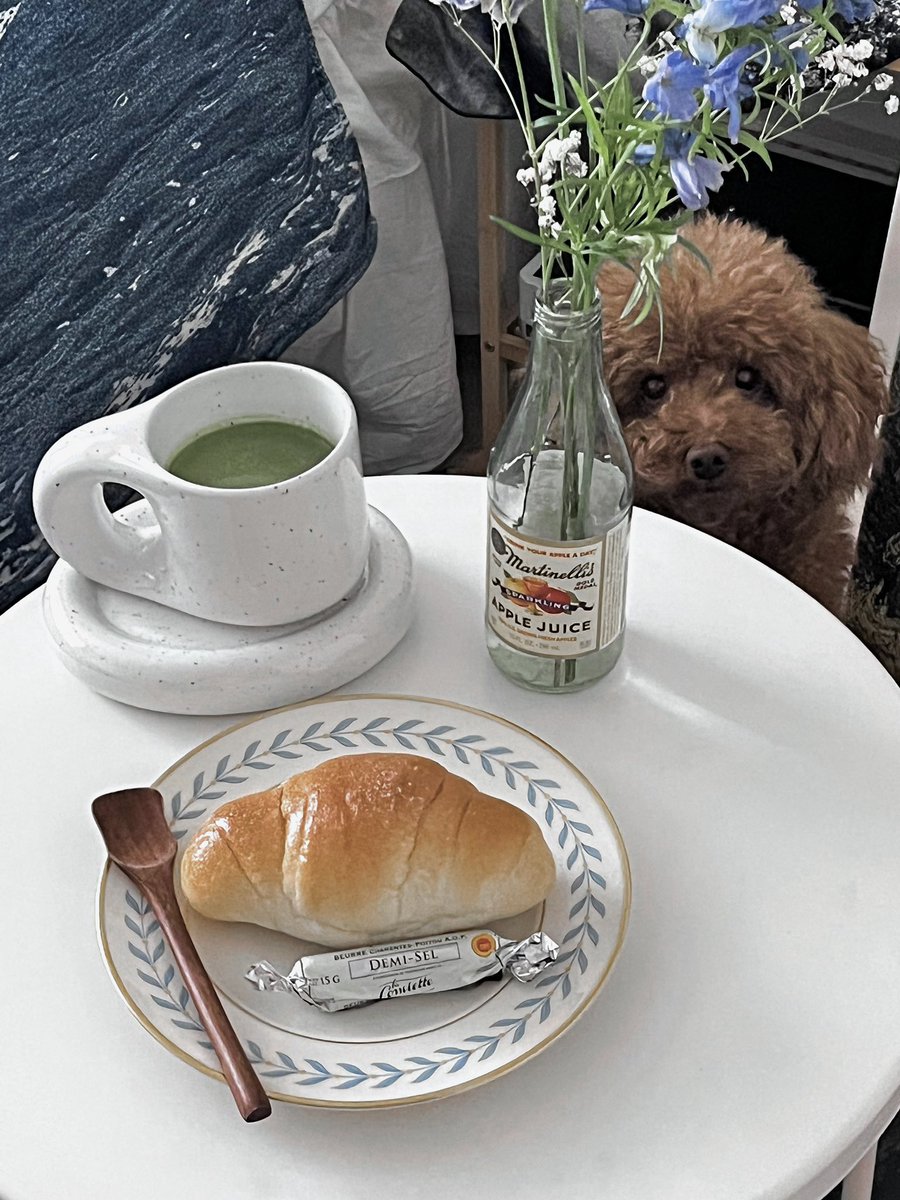 𝙉𝙤𝙠 ☘︎ tweet media