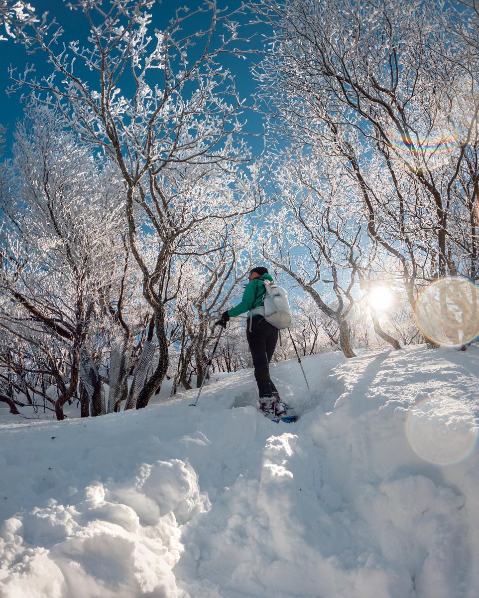 GoProJP's tweet photo. 美しい雪化粧をした木々に囲まれながらトレッキングをする @maikochinn52 ❄️
📷 @yoshitech3
#GoProSnow2022 チャレンジ、残り3日！ 🌨
詳細はここから👇
https://t.co/S4kTXDacJJ https://t.co/nomCk0tiMO