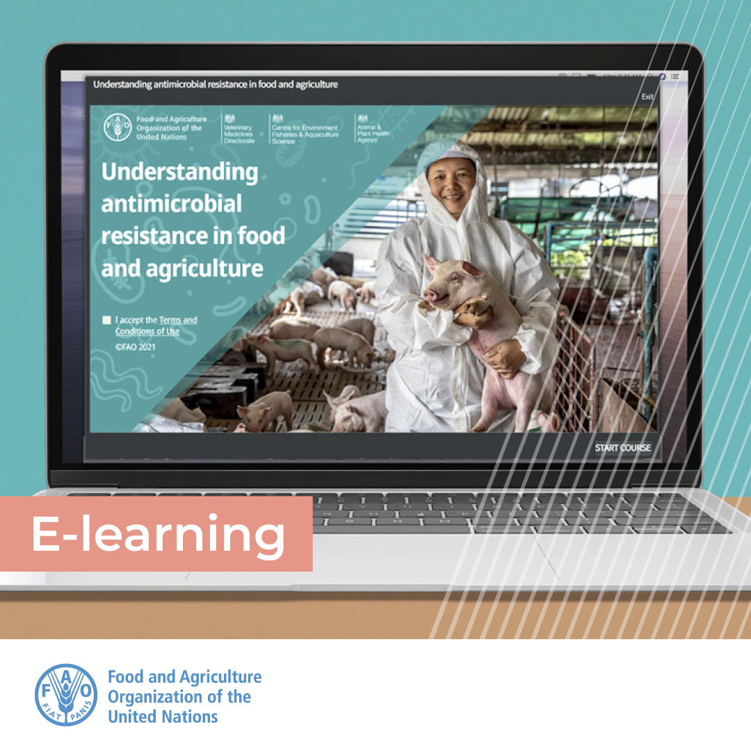 🔵Just released!

A new interactive course offers an overview of #AntimicrobialResistance in food and agriculture.

☑️Get a better understanding of #AMR as a global threat to 🌍
☑️Explore FAO’s work in addressing AMR through a #OneHealth approach

💻bit.ly/3Kcb0F8