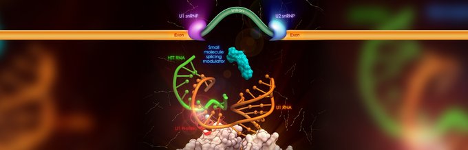 Visual depiction of small molecule splicing modulator mechanism of action.