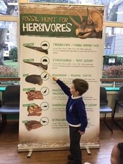 GranardSch's tweet photo. Reception thoroughly enjoyed their fantastic dinosaur workshop on Tuesday.  Thank you Jonathan @brennerj2912 from @educationgroup for an engaging and practical session. #dinosaurs #EYFS https://t.co/xqrmXwzmZg