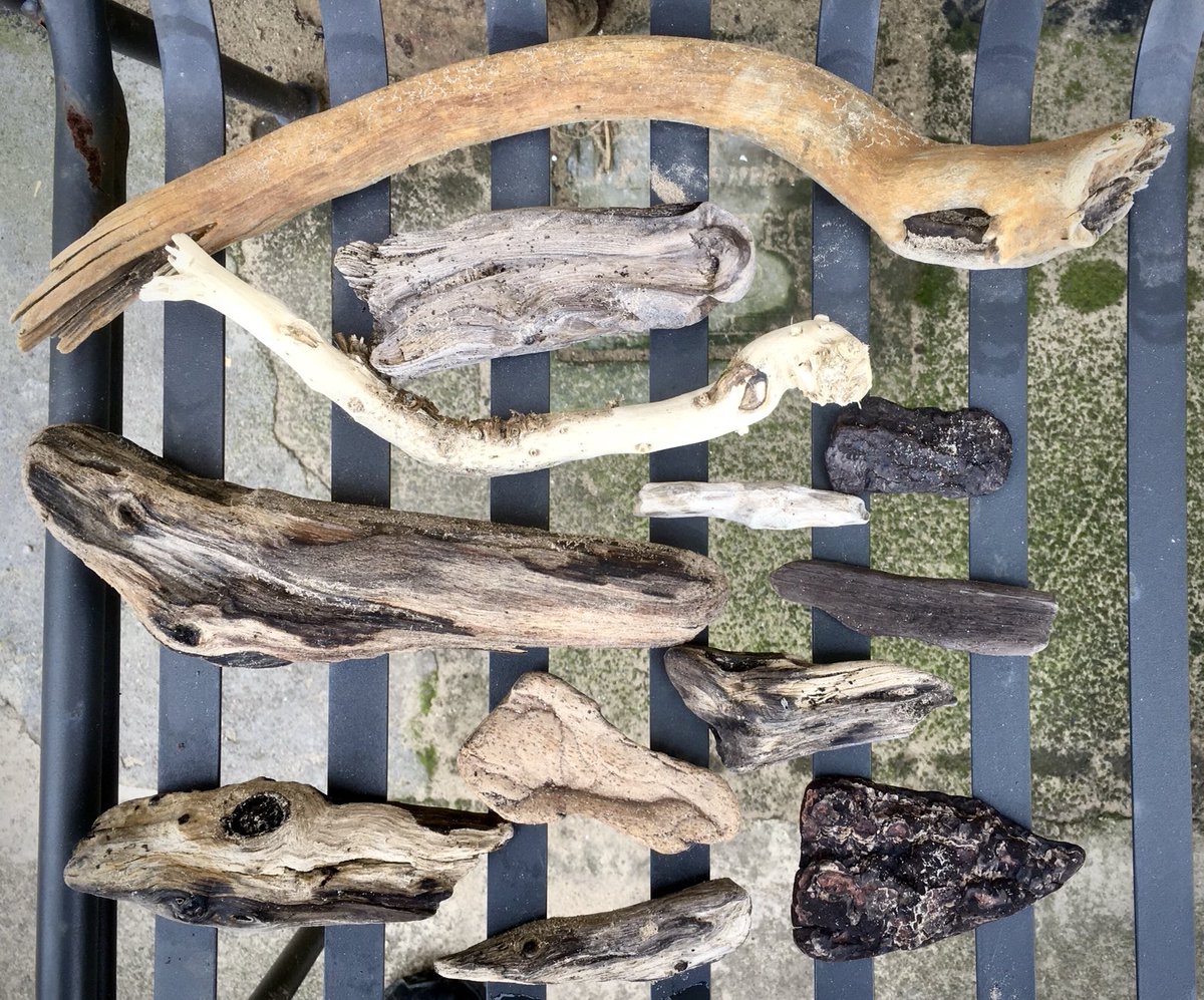 Driftwood: well-travelled, rounded, unique, beautiful with its blemishes - the same as how one hopes to be in middle-age I suppose! 
-
#Staithes 
#grimart
<a href="/GrimArtGroup/">Grim Art</a>