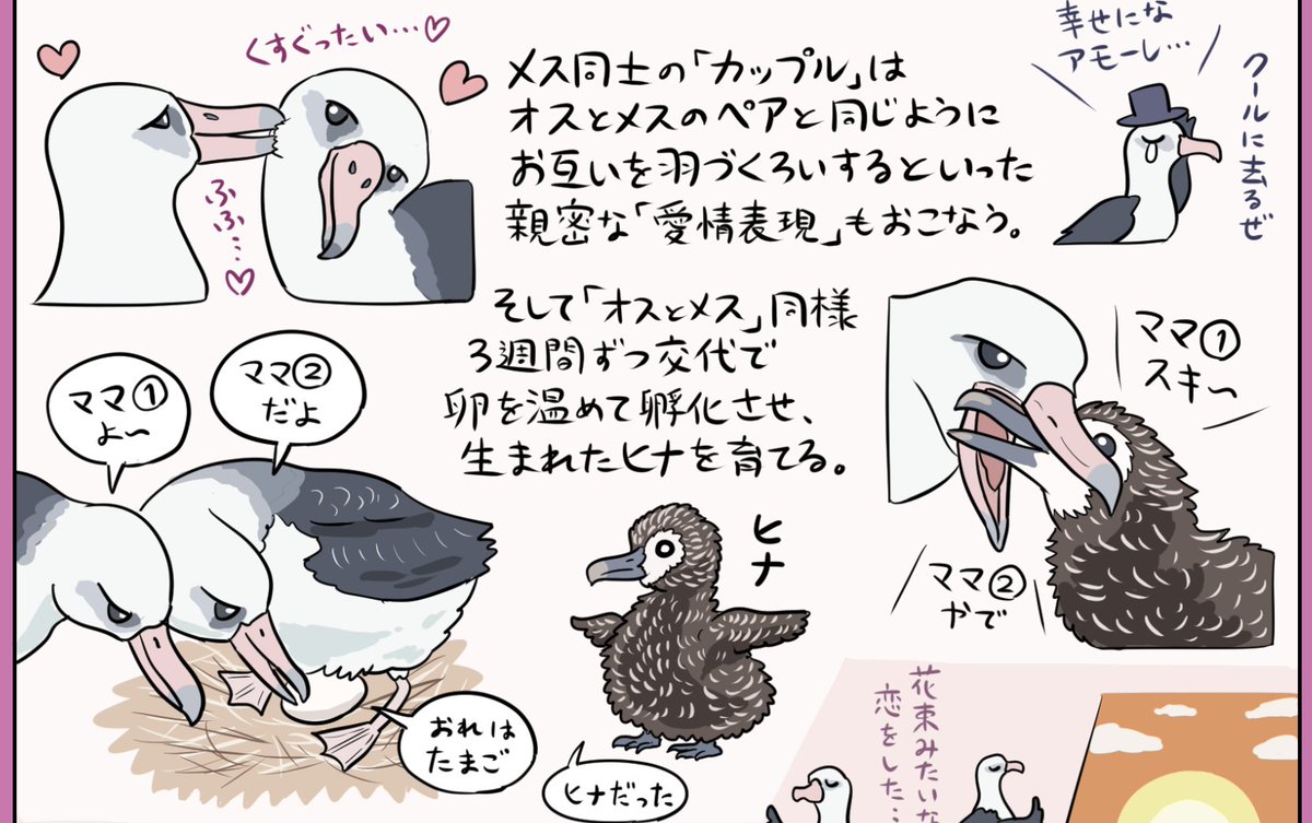 コアホウドリ図解、お雛様もヒナ(鳥)もスピードワゴンも活躍するので実にひな祭り向けの図解だ(1つ関係ない) 