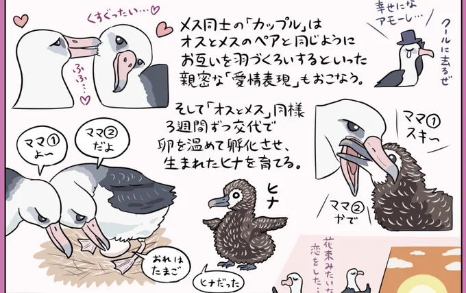 コアホウドリ図解、お雛様もヒナ(鳥)もスピードワゴンも活躍するので実にひな祭り向けの図解だ(1つ関係ない) 