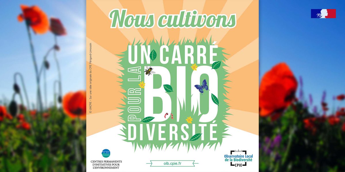 🌼 Pour la #JournéeMondialeDeLaVieSauvage, on vous invite à ne rien faire avec "un carré pour la biodiversité"

🦋 Délimitez 1m² dans votre jardin et laissez le vivre, sans intervention. Pas de coupe, pas d'arrosage... et observez !

👉 + d'infos : open-sciences-participatives.org/fiche-observat…