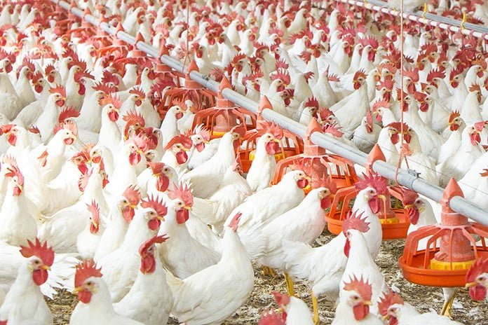 ModernAgUpdates's tweet photo. Do you love modern farming?
If you do so, like and retweet. https://t.co/kderAH2pnK