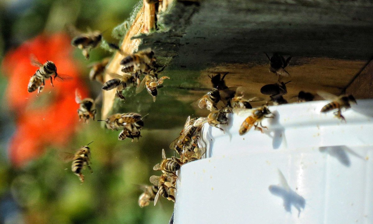 3 March is celebrated as <a href="/WildlifeDay/">World Wildlife Day</a>
The demise of the planet and it's natural life is constantly under threat, every single day. Mostly for reasons such as : 
Consumerism-Ego-Greed-unconscious living. 
So my request:"What are you doing to have less impact on the planet?