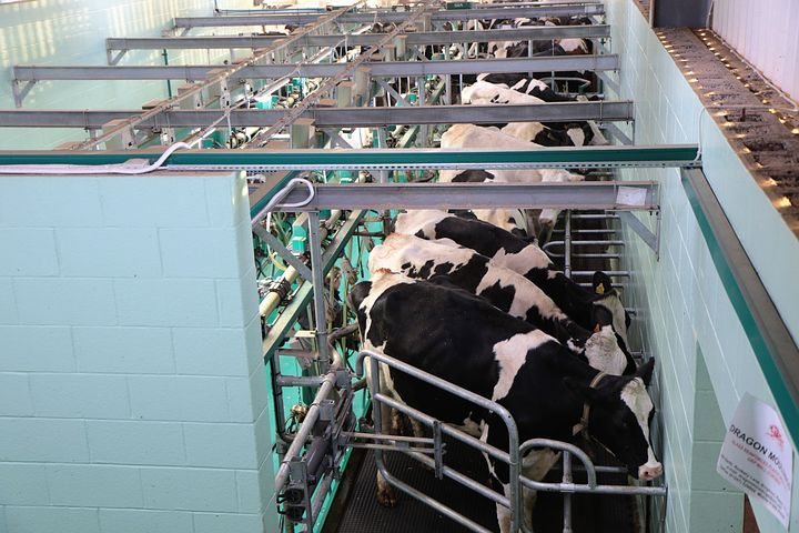 ModernAgUpdates's tweet photo. Do you love modern farming?
If you do so, like and retweet. https://t.co/kderAH2pnK