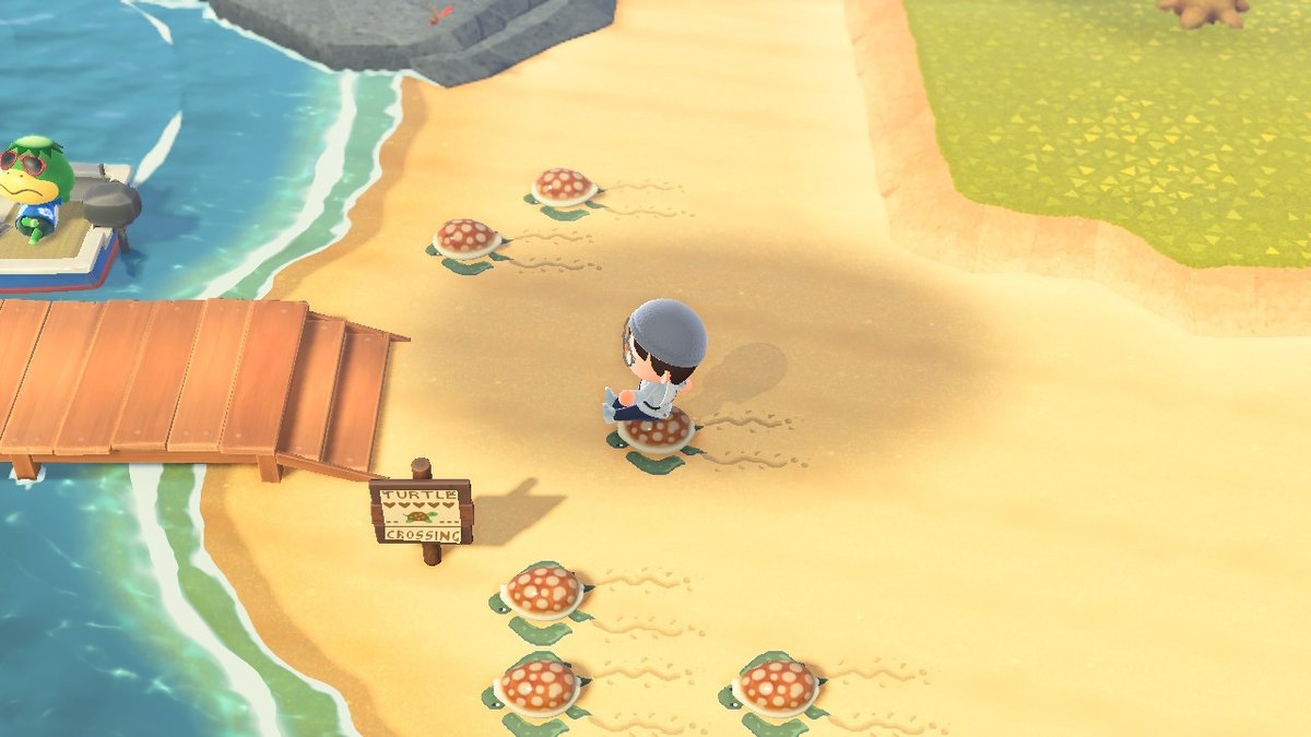 iLikeTurtles993 tweet media