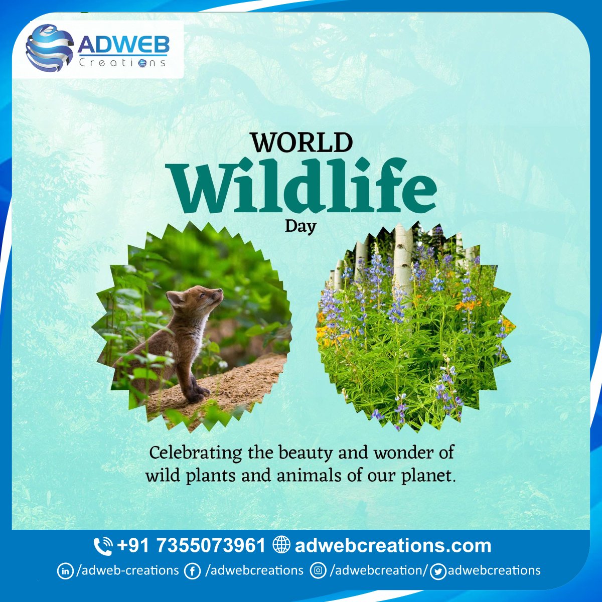 AdwebCreations's tweet photo. Today is a day to celebrate the incredible biodiversity of our planet &amp; the problems that threaten the delicate balance of our ecosystem. Let's take a pledge to conserve forest wildlife today.
.
.
.
.
ADWEB Creations
@theadwebcreations
#WorldWildlifeDay #worldwildlife #wildlife https://t.co/mdkkfp3hbC