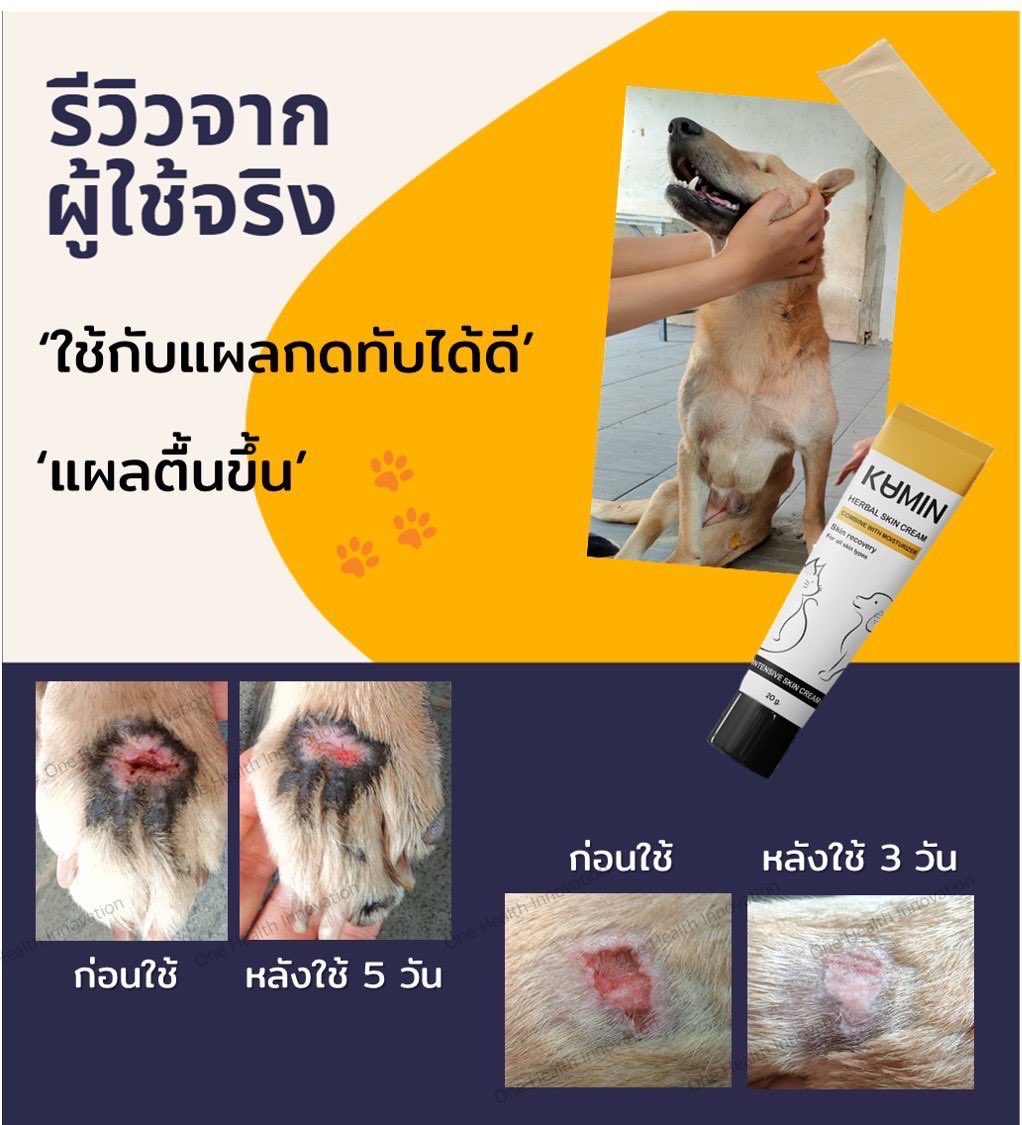 kumincream's tweet photo. รีวิวจากคุณหมอนะคะ✨

น้องเป็นแผลกดทับเพราะไม่สามารถใช้ขาหลังทั้ง 2 ข้างได้ 

วิธีดูแลแผล
-ล้างทำความสะอาดด้วยน้ำเกลือ ทาด้วยคุมินให้ทั่วเป็นประจำ
-นอนบนพื้นแห้งและสะอาด ควรมีอุปกรณ์รับแรงกระแทกปุ่มกระดูก
-เปลี่ยนท่านอนทุก 2-3 ชั่วโมง

#ใช้ดีบอกต่อ #คุมิน #ใช้จริงรีวิวจริง https://t.co/ir4yb7NlIf