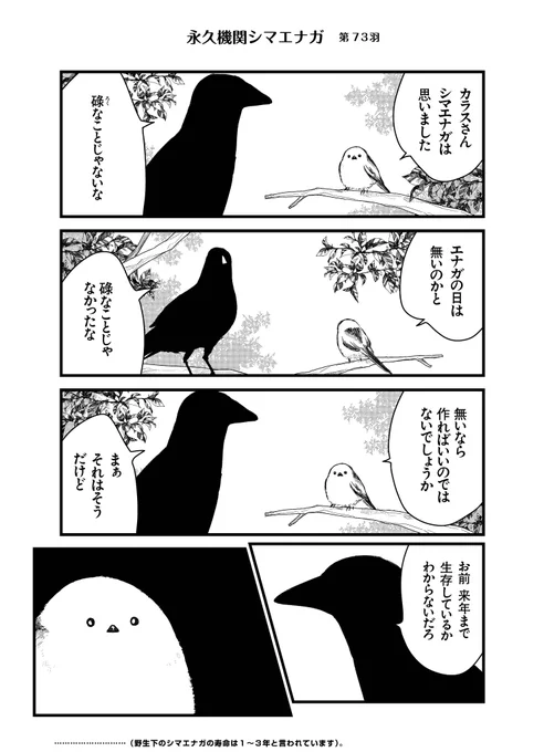 あざといシマエナガと賢いカラス_73
#永久機関シマエナガ
#シマエナガとカラスさん 