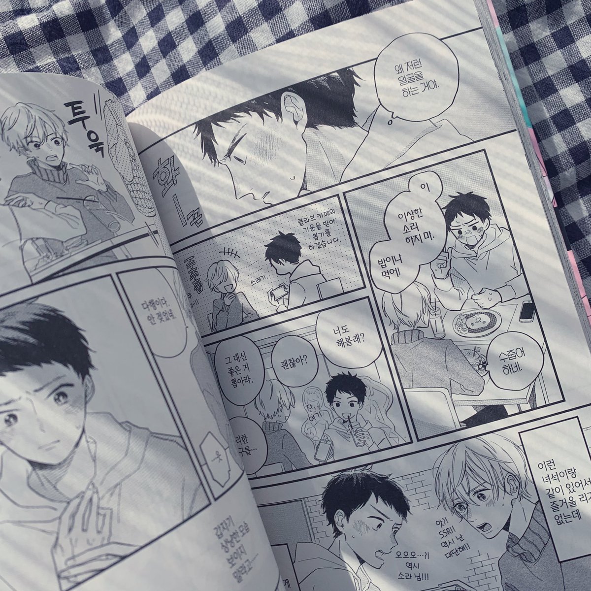 『ねこかぶりポラリティ』韓国語版の見本誌いただきました!翻訳版見るの初めてなんですが再現度がすごい…👀🎶 