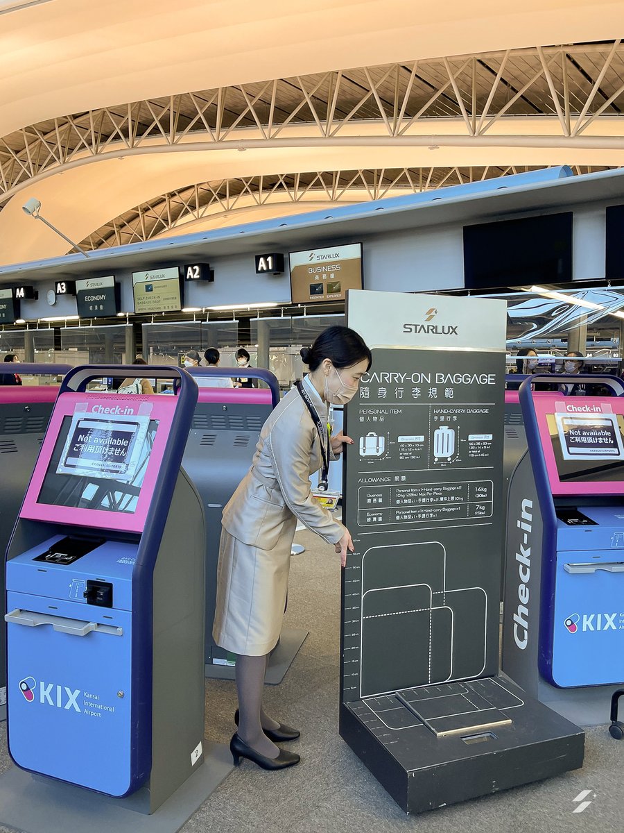 社員インタビュー第1弾 ✨ ━━━━━━✈ 🎉新企画🎉 日本で働く