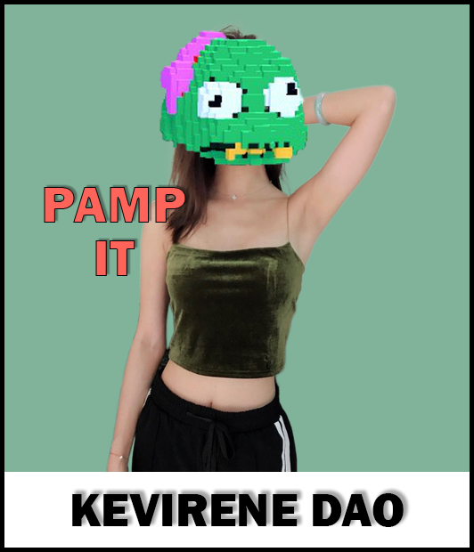 0xKevireneDAO tweet media