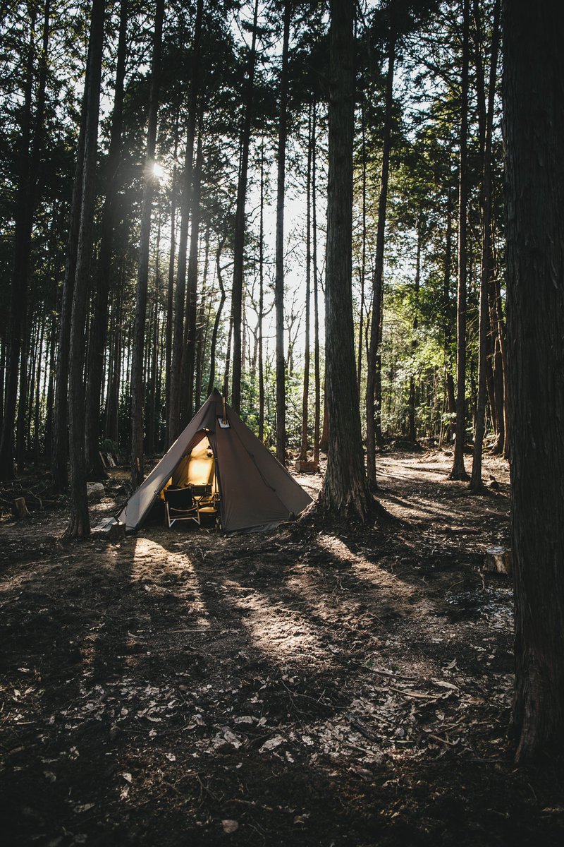 Issei Shimizu|清水壱星 tweet media