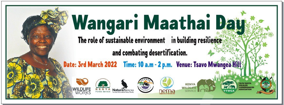 TTWCA_tsavo's tweet photo. Happening Now!
"Trees are living symbols of peace and hope. A tree has roots in the soil yet reaches to the sky. It tells us that in order to aspire we need to be grounded..."
~Wangari Maathai
#WangariMaathaiDay2022
#WWLD2020 https://t.co/ZqOaIZPgoH